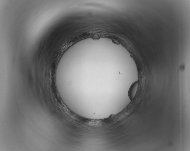 X0000112860762200908211055