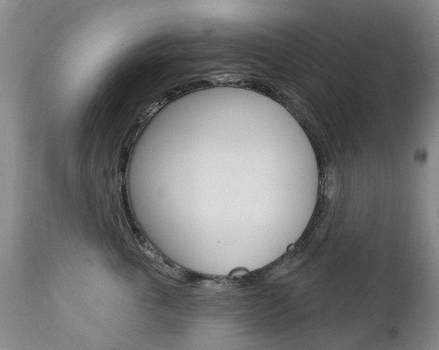 X0000112860763200908211055