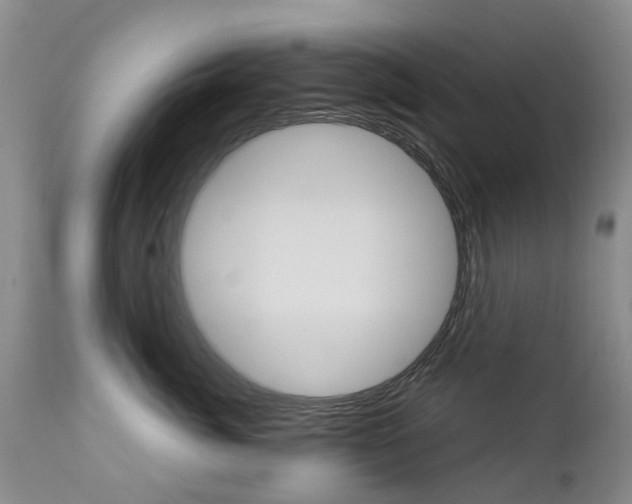 X0000112860764200908211055