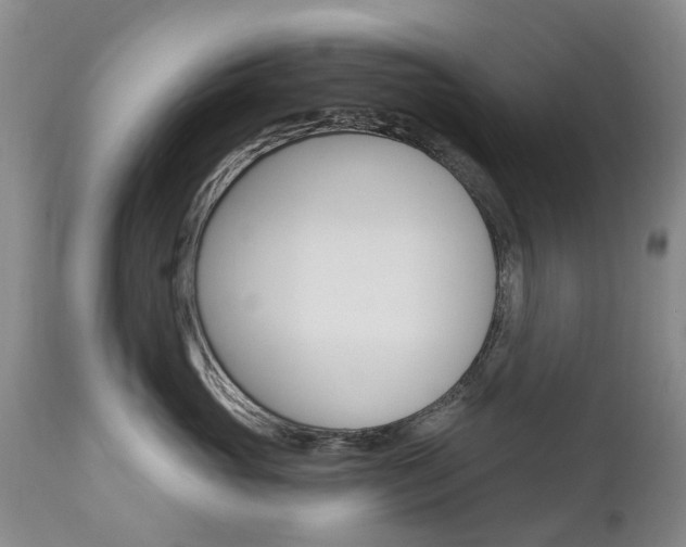 X0000112860765200908211055