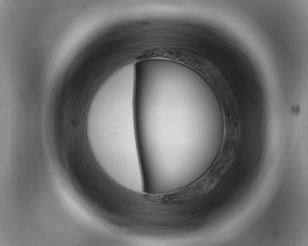 X0000112860766200908211055