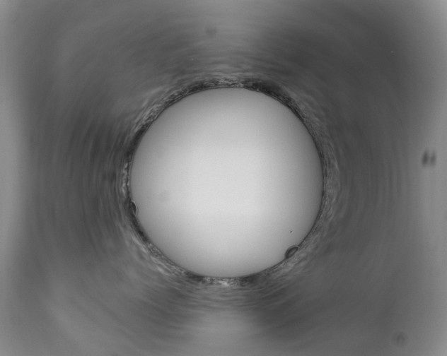 X0000112860768200908211055
