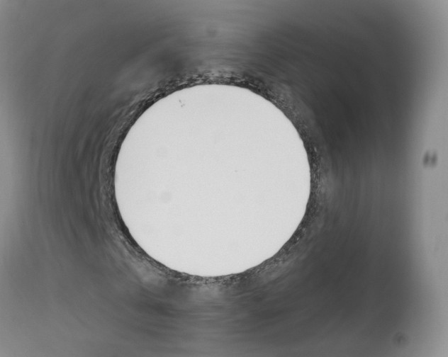 X0000112860769200908211054