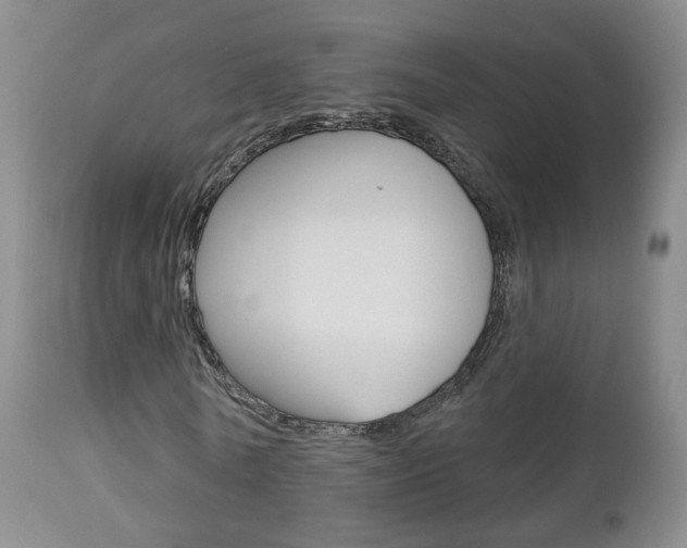 X0000112860770200908211054