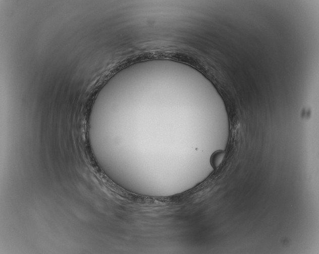 X0000112860772200908211054