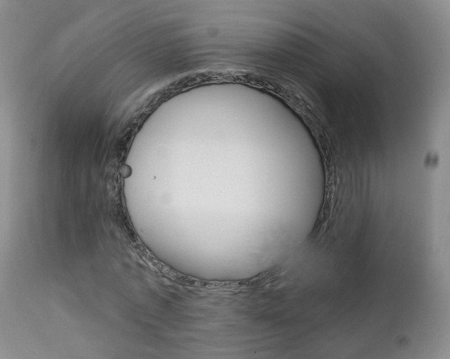 X0000112860773200908211054