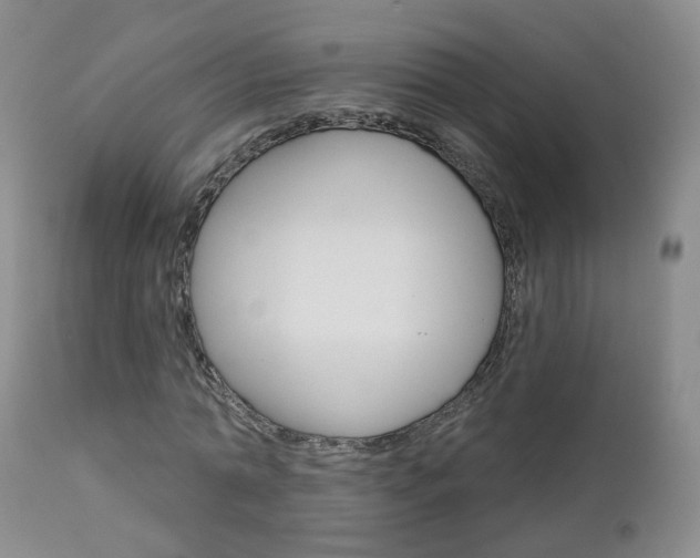 X0000112860774200908211054
