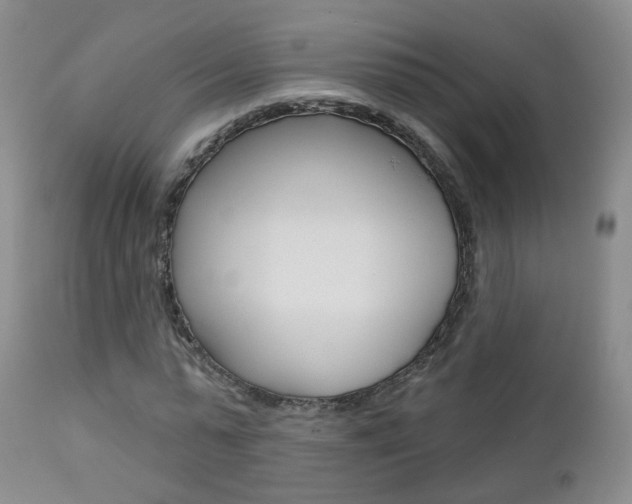 X0000112860775200908211054