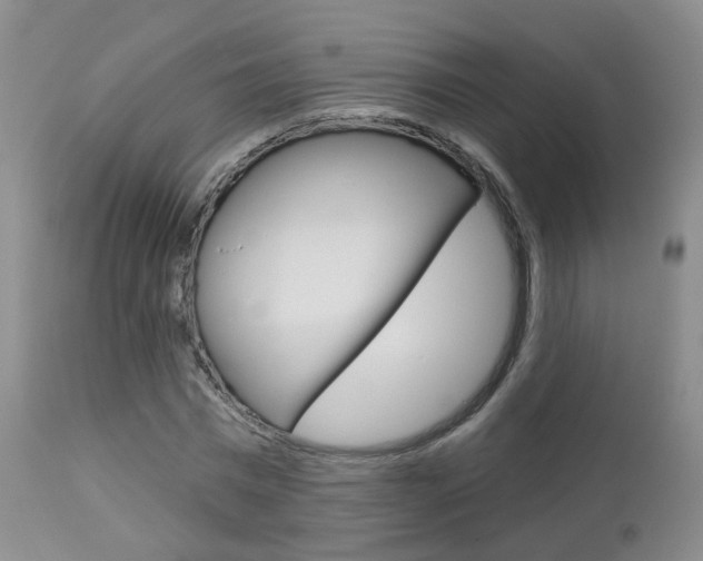 X0000112860777200908211054