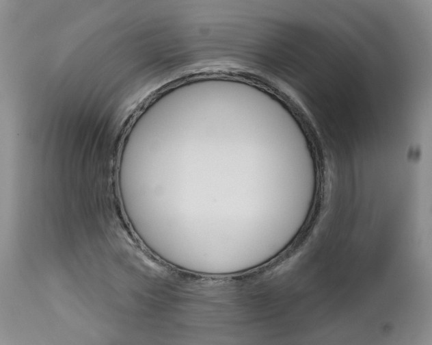 X0000112860778200908211054