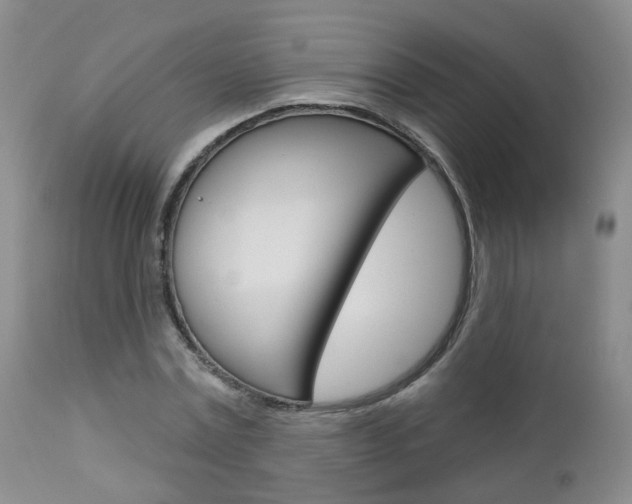 X0000112860779200908211054