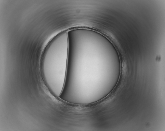 X0000112860780200908211054