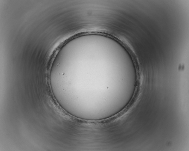 X0000112860781200908211054
