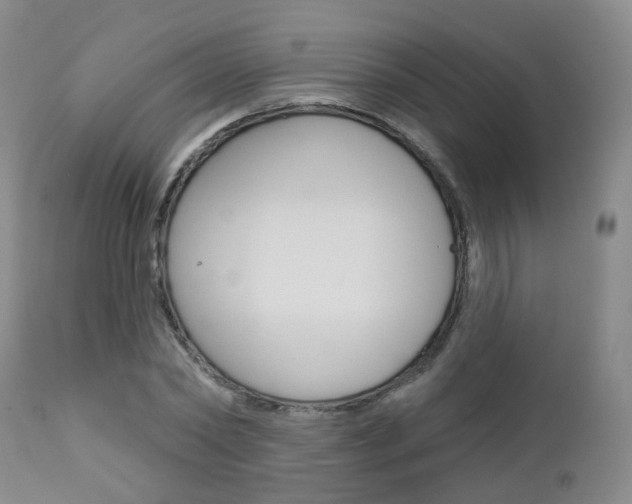 X0000112860782200908211054