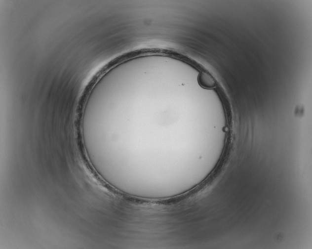 X0000112860783200908211054