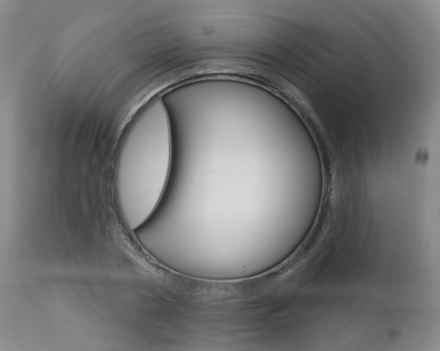 X0000112860786200908211054