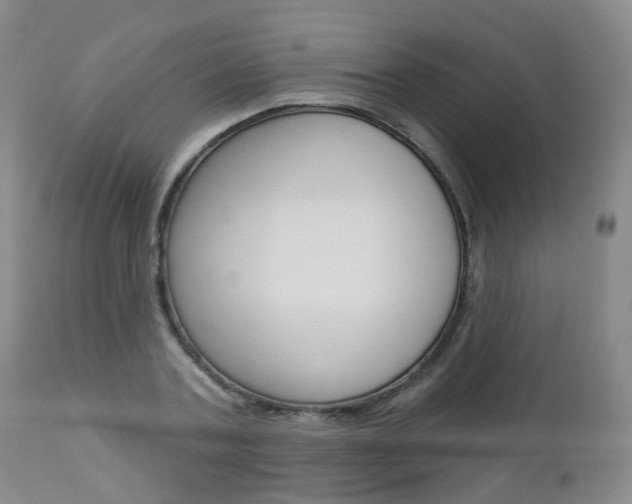 X0000112860787200908211054