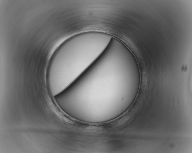 X0000112860788200908211054