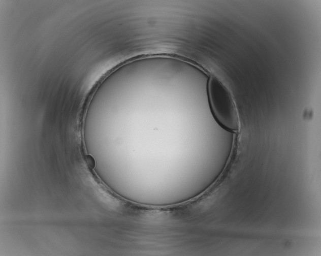 X0000112860789200908211054