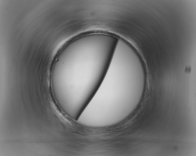 X0000112860791200908211054