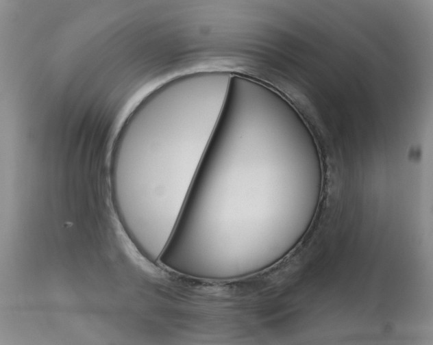 X0000112860792200908211054