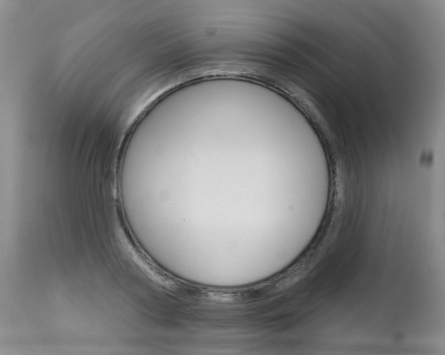 X0000112860794200908211054