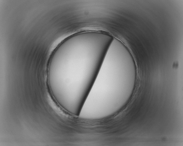X0000112860795200908211054