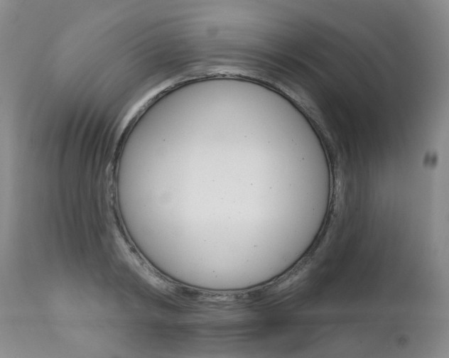 X0000112860798200908211053