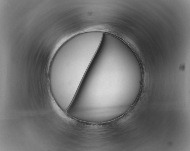 X0000112860800200908211053