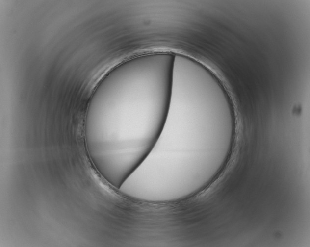 X0000112860801200908211053