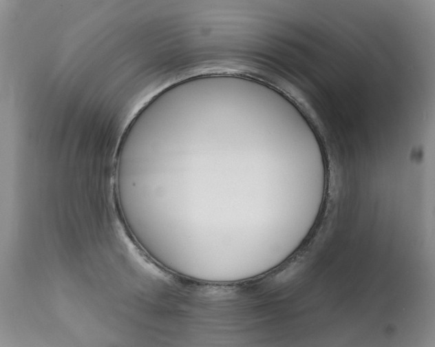 X0000112860802200908211053