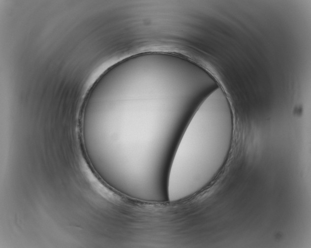 X0000112860803200908211053