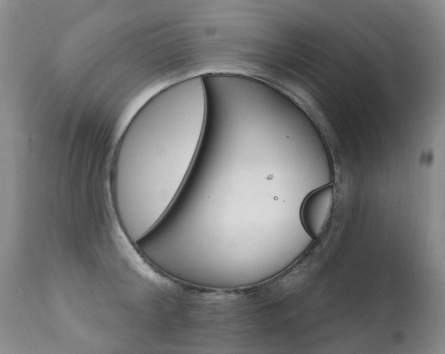 X0000112860804200908211053