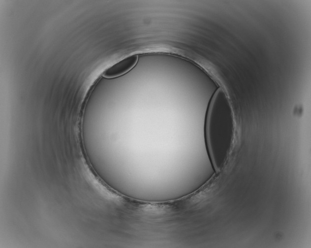 X0000112860805200908211053