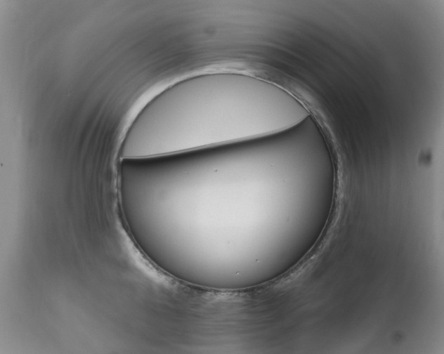 X0000112860808200908211053