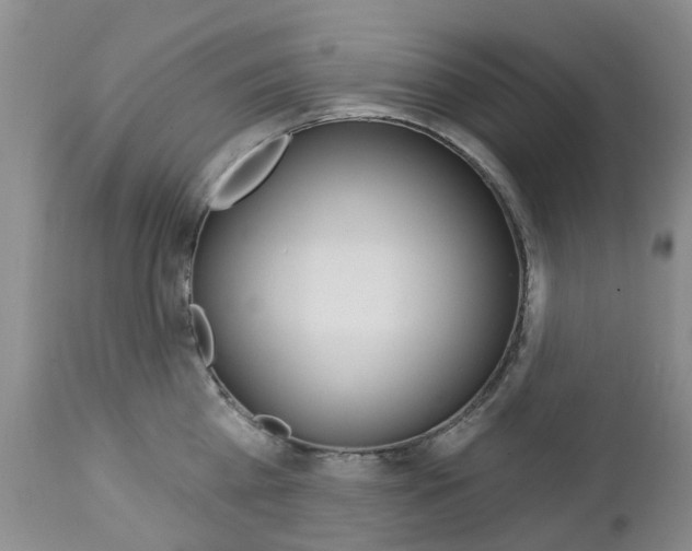 X0000112860809200908211053