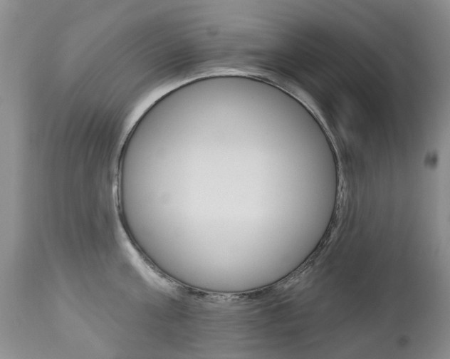 X0000112860811200908211053