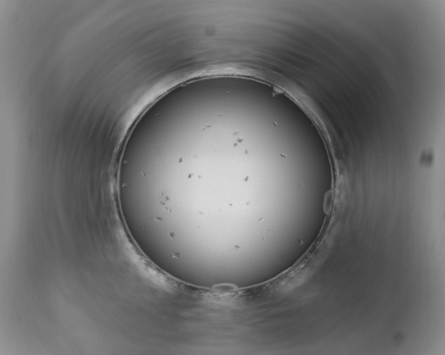 X0000112860813200908211053