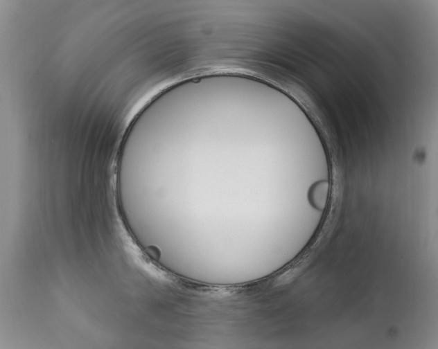X0000112860814200908211053