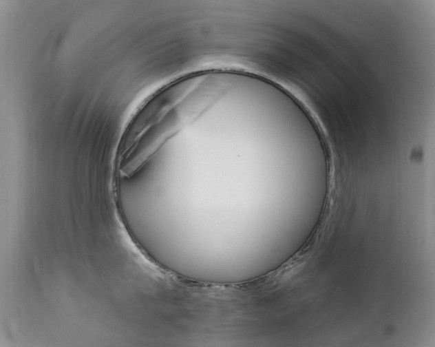 X0000112860815200908211053