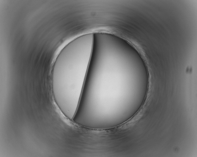 X0000112860816200908211053