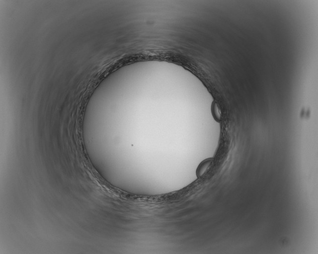 X0000112860817200908211053