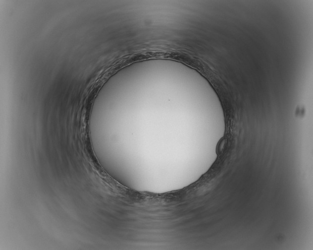 X0000112860818200908211053