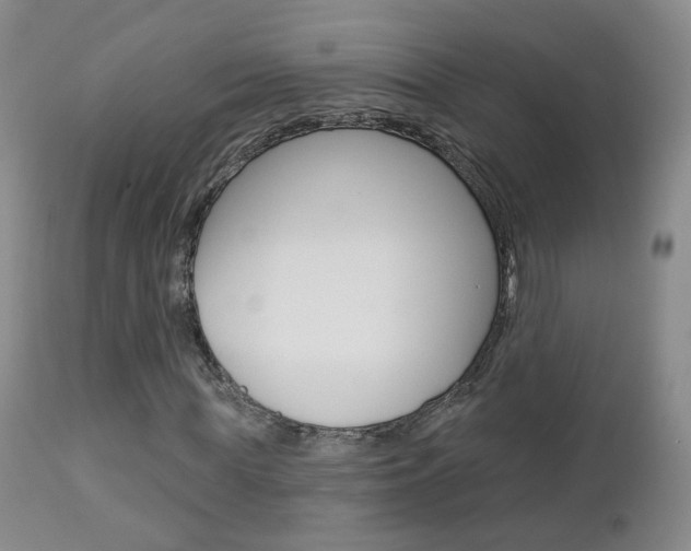 X0000112860819200908211053