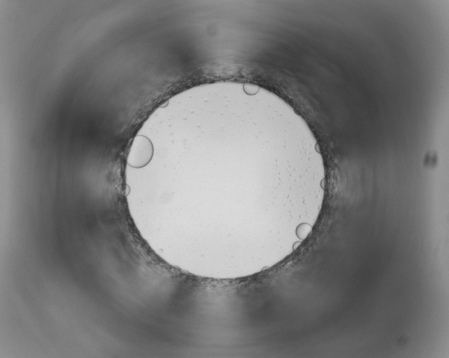 X0000112860820200908211053