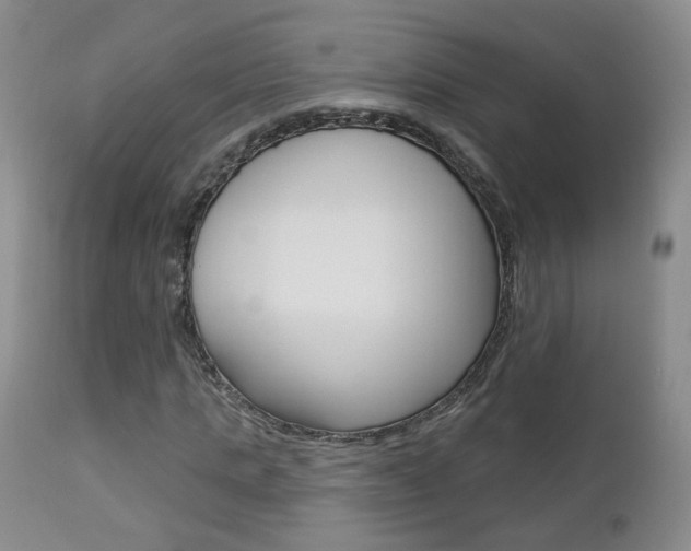 X0000112860821200908211053