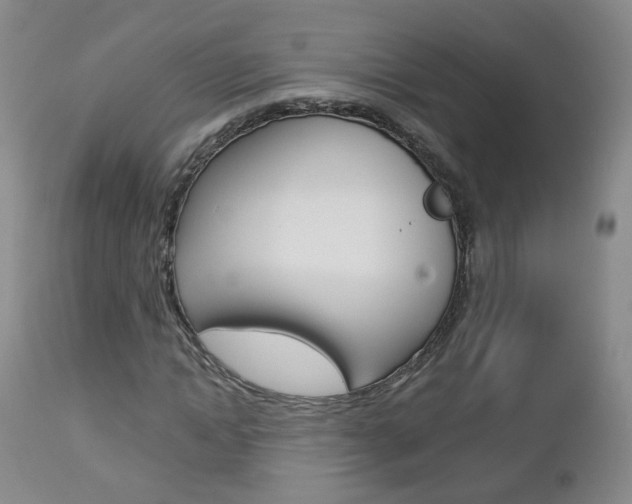 X0000112860822200908211053