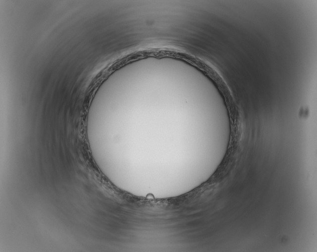 X0000112860823200908211053