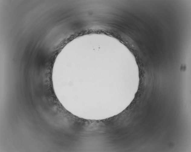 X0000112860824200908211053