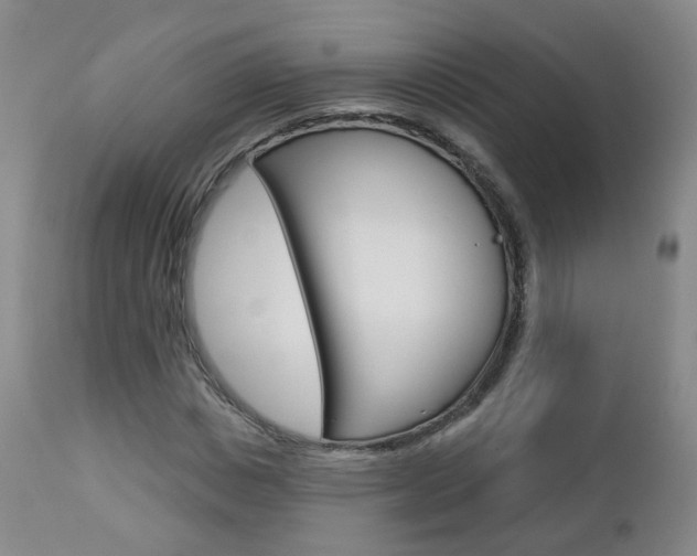 X0000112860825200908211053